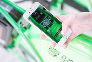 羊小咩便荔卡额度提升策略—案例分析与技巧分享