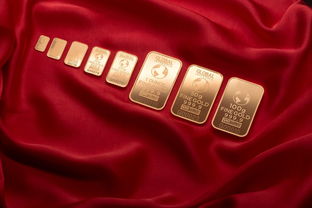 抖音月付额度如何套现？领取金币攻略大公开
