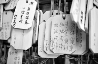 揭秘抖音月付额度的奥秘，如何轻松套现，每月能拿到多少？