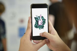 抖音月付额度提现商家，大家的数字大揭秘