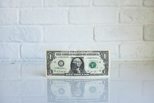 揭秘鹿优选额度提现之谜，商家资金去向大揭秘