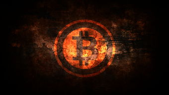 揭秘鹿优选额度，是真金白银还是虚拟福利？