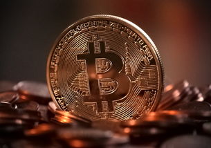 月付额度提现商家，揭秘数字支付时代的新机遇