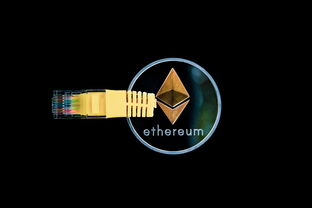 抖音月付额度提升攻略，如何将你的20万梦想变为现实？