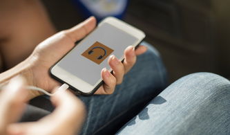 如何有效降低抖音月付额度？实用技巧与案例分析